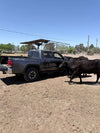 Dehydrated Horse Manure