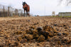 Dehydrated Horse Manure
